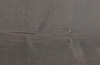 Holzoberflächenbehandlung, Holz-Veredelung; behandelte Profilhölzer aus Fichte Holzoberflächenbehandlung, Holz-Veredelung; behandelte Profilhölzer aus Fichte