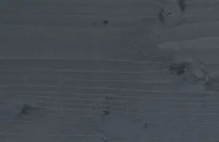 Holzoberflächenbehandlung, Holz-Veredelung; behandelte Profilhölzer aus Fichte Holzoberflächenbehandlung, Holz-Veredelung; behandelte Profilhölzer aus Fichte