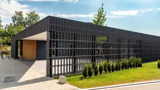 Holzoberflächenbehandlung, Holz-Veredelung; behandelte Profilhölzer aus Fichte Holzoberflächenbehandlung, Holz-Veredelung; behandelte Profilhölzer aus Fichte