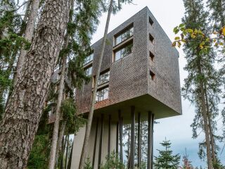 Ein Baumhotel der besonderen Art