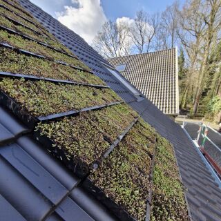 Nelskamp LIVINGROOF® Gründachpfanne für Schrägdachbegrünung