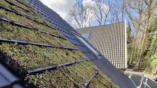 Nelskamp LIVINGROOF® Gründachpfanne für Schrägdachbegrünung Nelskamp LIVINGROOF® Gründachpfanne für Schrägdachbegrünung