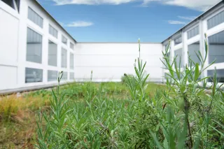 Umkehrdachdämmung mit URSA XPS® Umkehrdachdämmung mit URSA XPS®