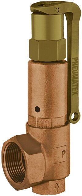 IMI Hydronic Engineering Deutschland - IMI PNEUMATEX Sicherheitsventil DSV32-10 DGH, Rotguss (GTIN: 7640148636735, HAN: 5364100)