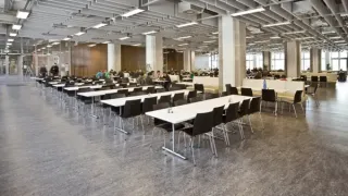 Linoleum Bodenbelag als Bahnenware, Fliesen oder Planken Linoleum Bodenbelag als Bahnenware, Fliesen oder Planken